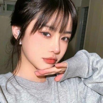 大象之梦